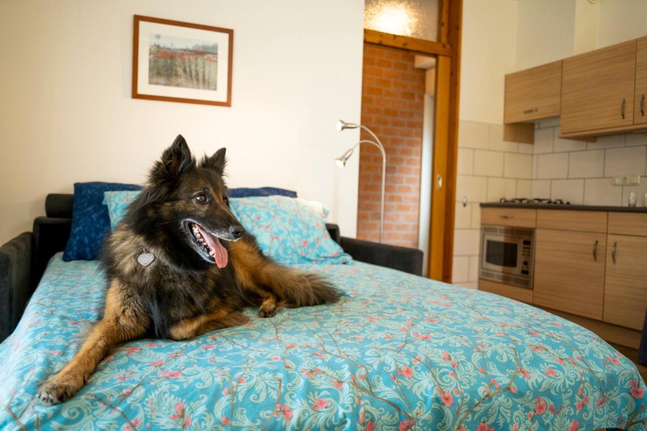 Charmecamping & Appartementen De Regge-Vallei Den Ham Ngoại thất bức ảnh
